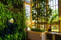 Kew orangery installation